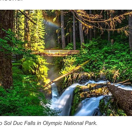 A Relaxing Getaway-A Backwoods Cabin Solduc River Beaver Ngoại thất bức ảnh