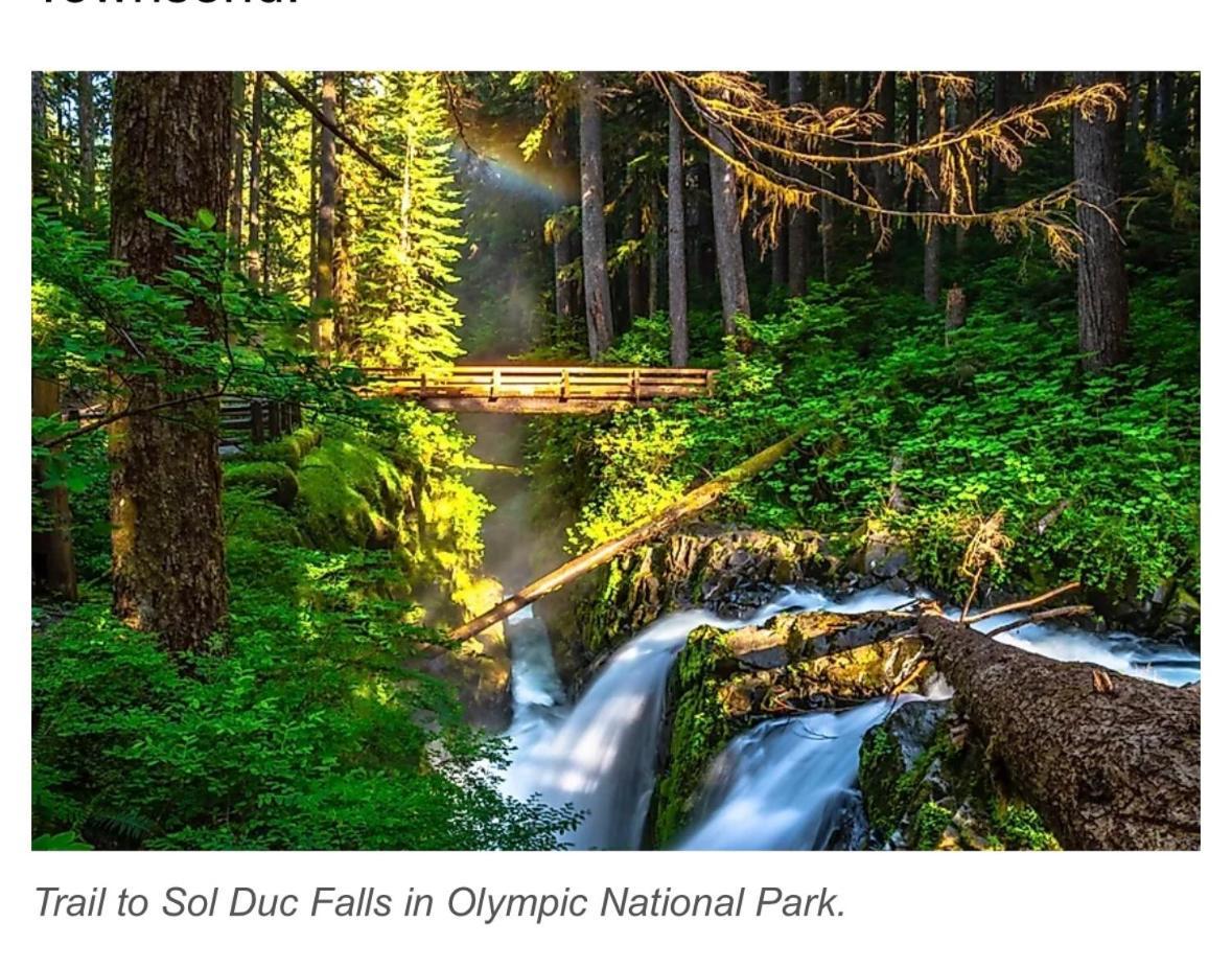 A Relaxing Getaway-A Backwoods Cabin Solduc River Beaver Ngoại thất bức ảnh